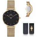 ZEGAREK DAMSKI DANIEL WELLINGTON DW00100347 - PETITE EVERGOLD 32mm (zw500e)