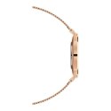 ZEGAREK DAMSKI DANIEL WELLINGTON DW00100472 - PETITE UNITONE 36mm (zw511a)