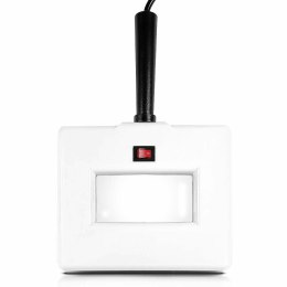 Lampa Wooda