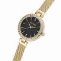 ZEGAREK DAMSKI PAUL LORENS - PL10995B-1D1 (zg546a) + BOX